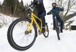 Winterreifen für das Fahrrad