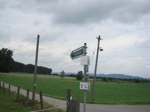 Zum Vogelpark Heddesheim